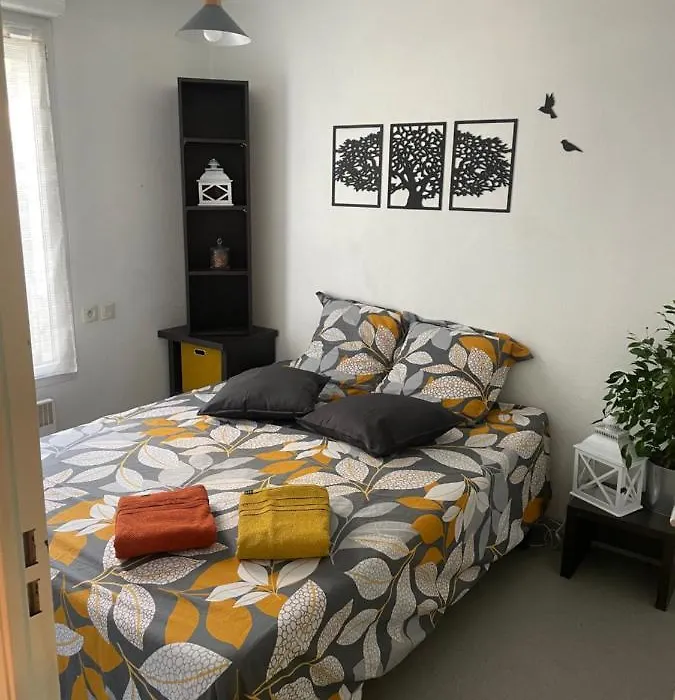 Cosy Arena-1