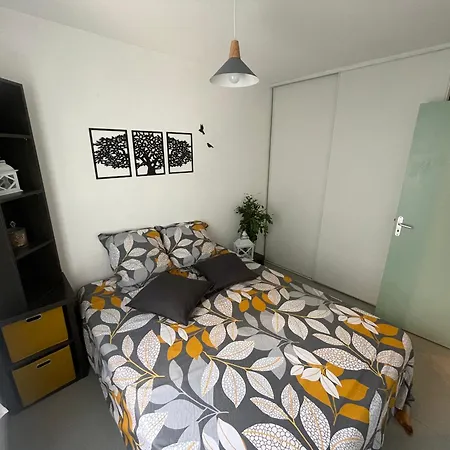 Cosy Arena-2
