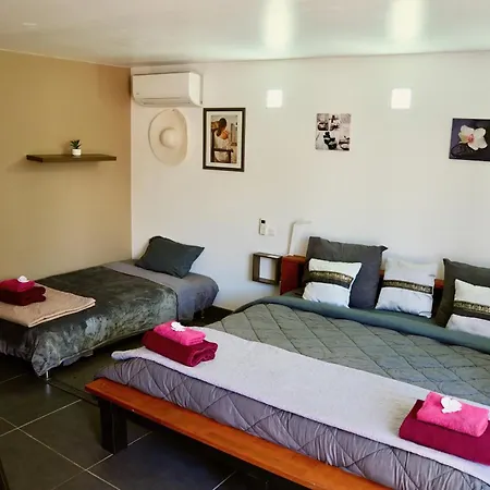 Chambre d'hote,Fitness&Billard Gratuit&SPA Mas la Farelle-2
